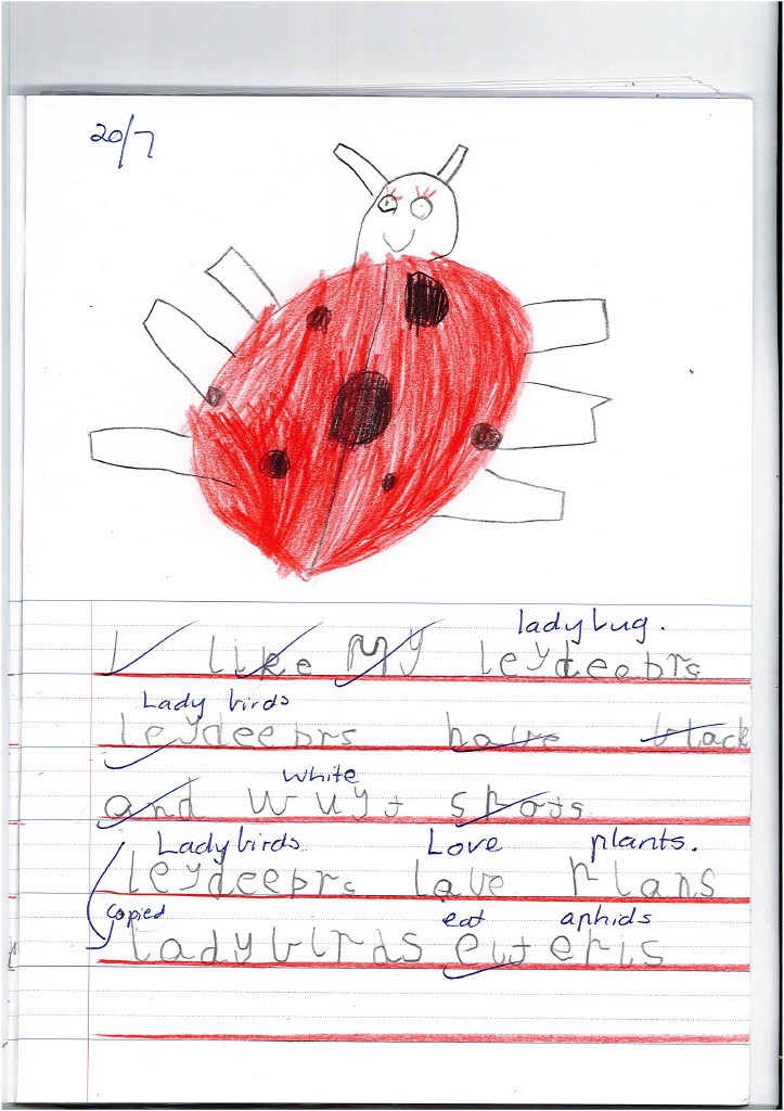 /uploaded_files/media/gallery/1659496282Lady bugs writing1024_2.jpg